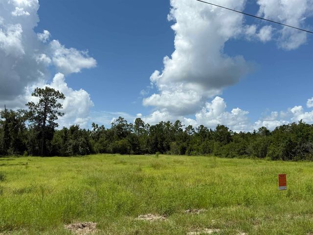 179 Council Moore Road, Crawfordville, FL 32327