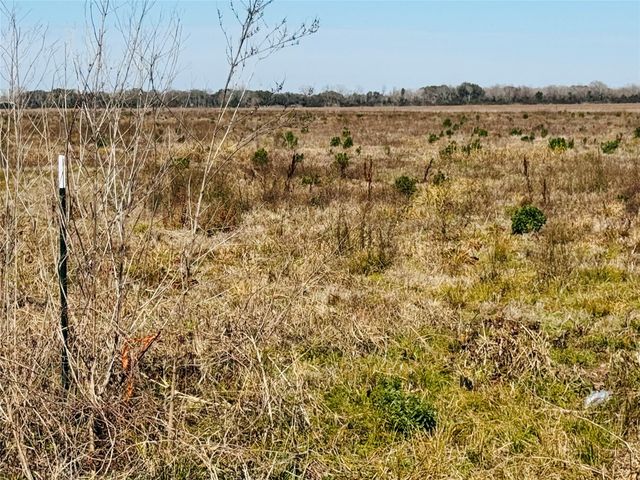 TBD Beard Road, Needville, TX 77461