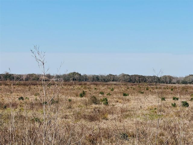 TBD Beard Road, Needville, TX 77461