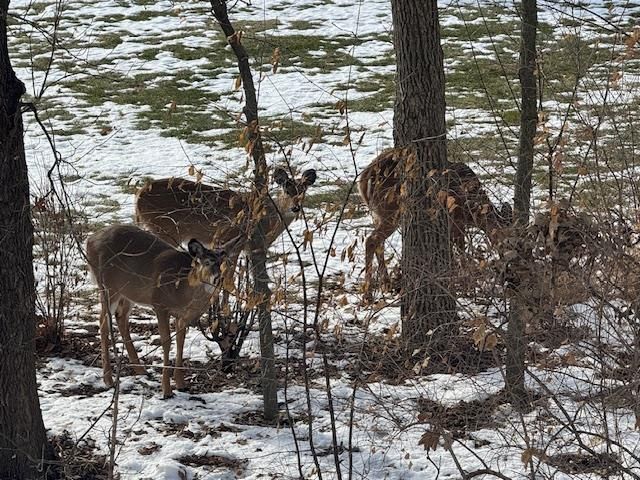 2112 Kilkenny Trail, Waunakee, WI 53597