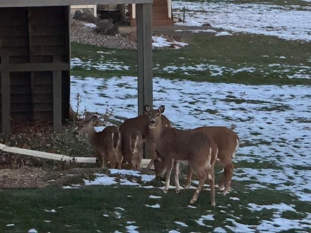 2112 Kilkenny Trail, Waunakee, WI 53597