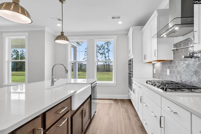 621 Falling Leaf Lane, Chapin, SC 29036