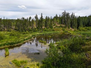 52XX Wagner Rd, Springdale, WA 99173