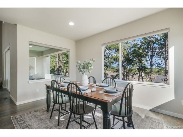 16267 Thunder Cat Way, Monument, CO 80132