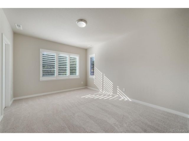 16267 Thunder Cat Way, Monument, CO 80132