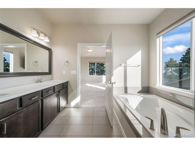 16267 Thunder Cat Way, Monument, CO 80132