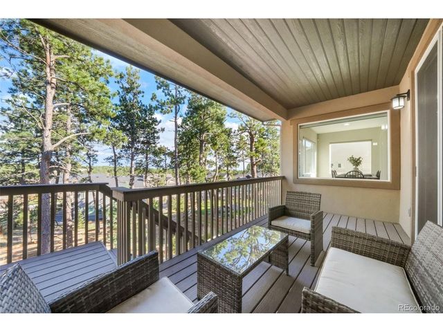 16267 Thunder Cat Way, Monument, CO 80132