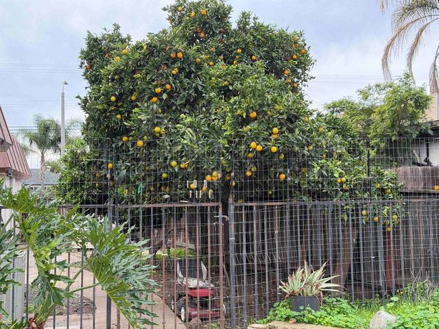 734 North Midway Drive, Escondido, CA 92027