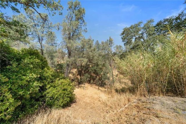 16080 Oakridge Road, Corning, CA 96021