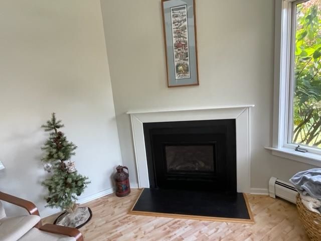 1B North Peak Village, Newbury, NH 03255