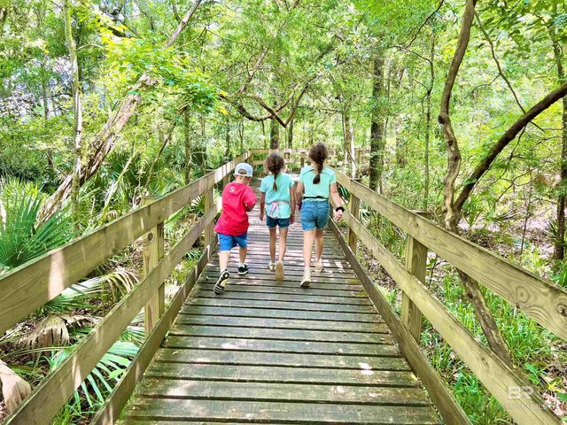 11493 Thistledown Loop, Spanish Fort, AL 36527