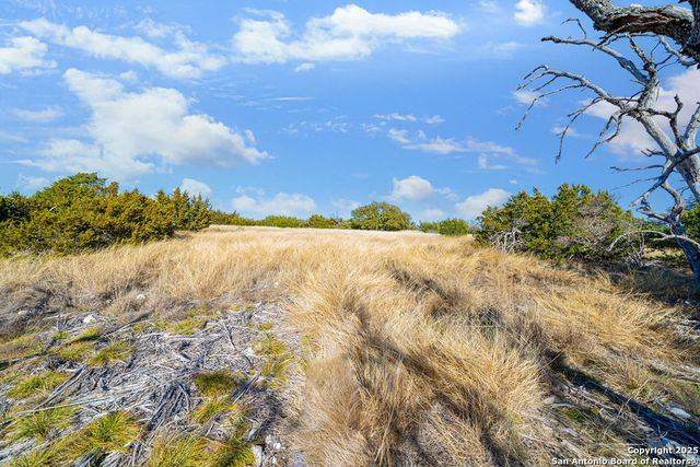 LOT 55 Oakwater Drive, Fredericksburg, TX 78624