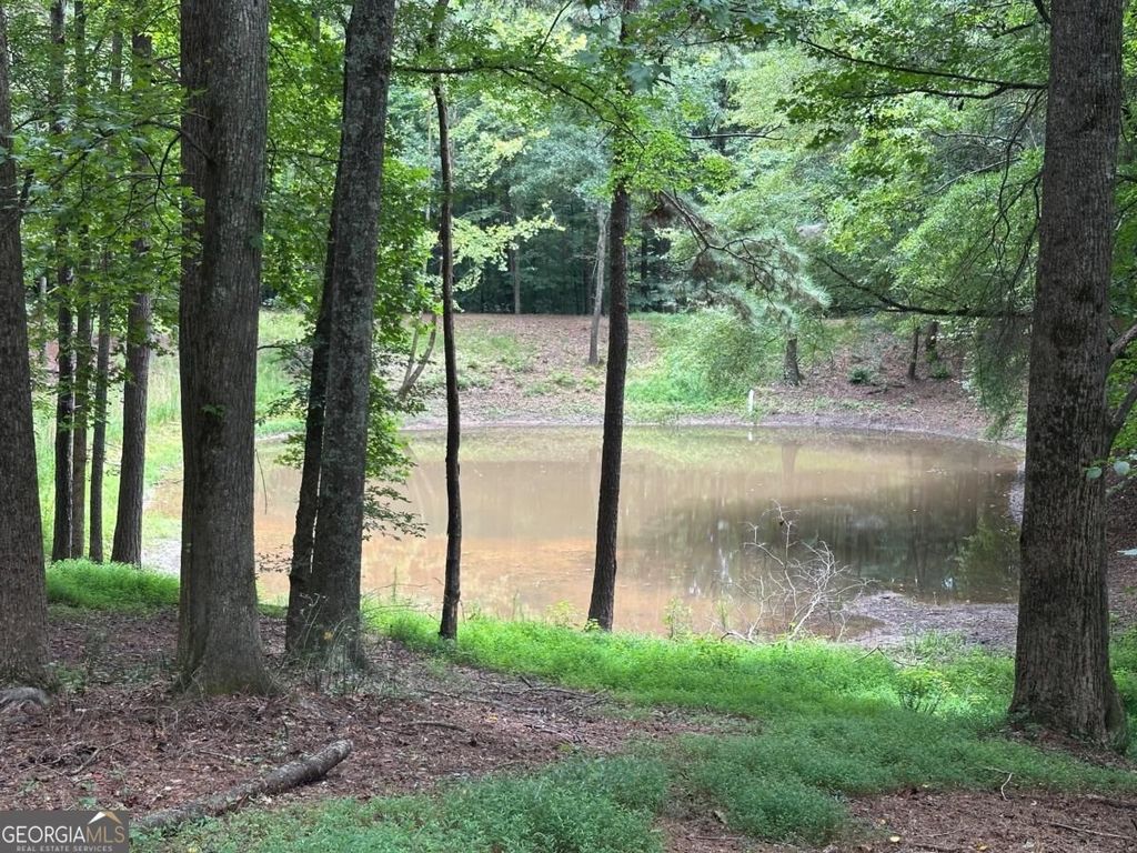 1701 Liberty Grove Road, Alpharetta, GA 30004 — photo 2