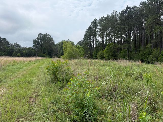 1451 Broad, Deridder, LA 70634