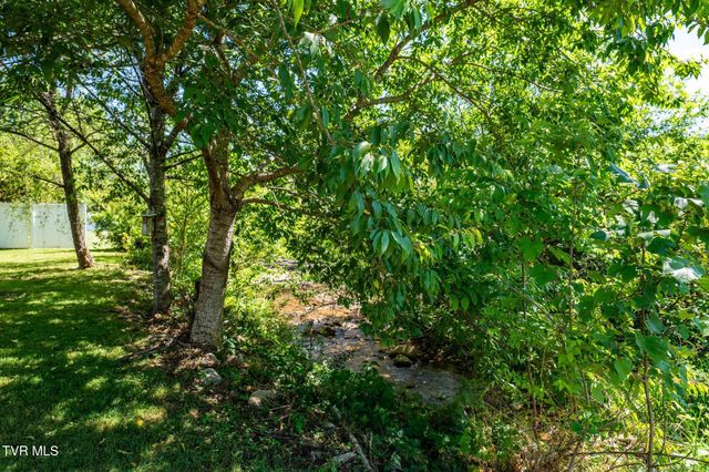 156 Furnace Street, Mountain City, TN 37683