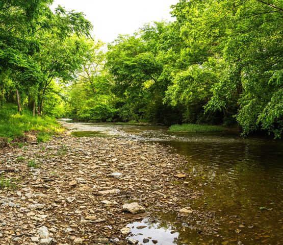 5285 Old Harding Road, Franklin, TN 37064