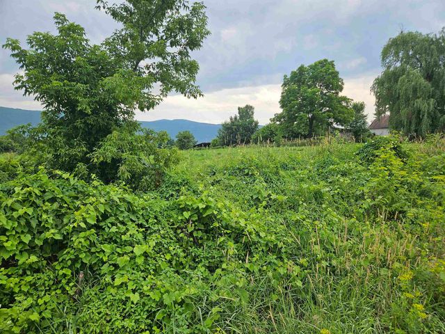1726 Munger Street, Middlebury, VT 05753