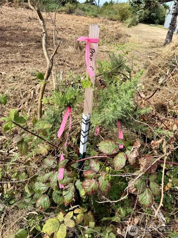 96 X State Route 105, Grayland, WA 98547