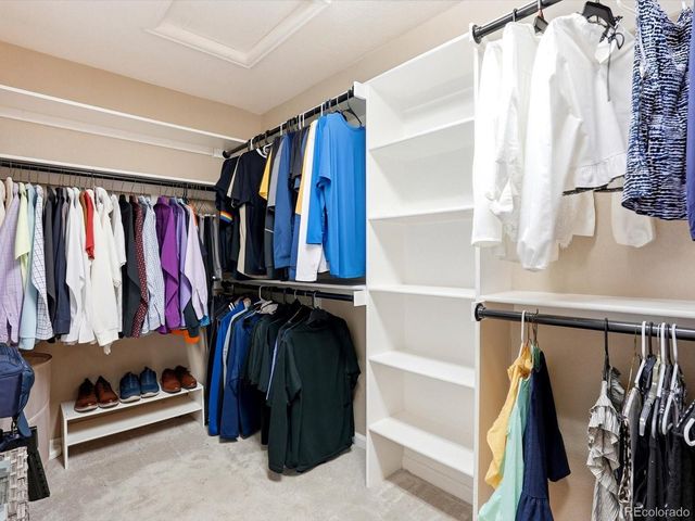 6638 W Hamilton Drive, Lakewood, CO 80227