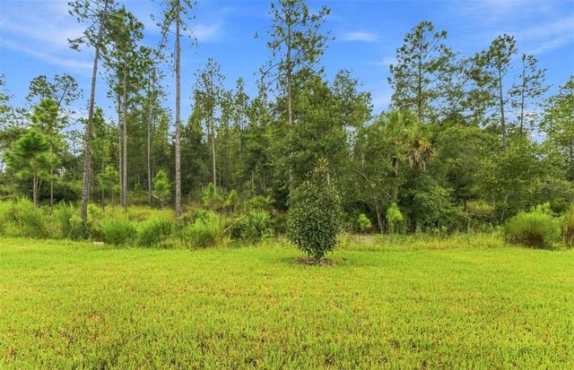 35224 COHAGEN TRAIL, Zephyrhills, FL 33541