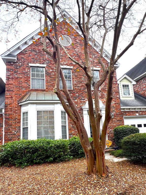 737 Natchez Circle, Mount Pleasant, SC 29464