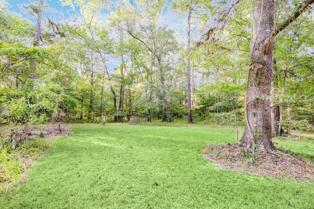 17130 Pugh Ln Lane, Conroe, TX 77306