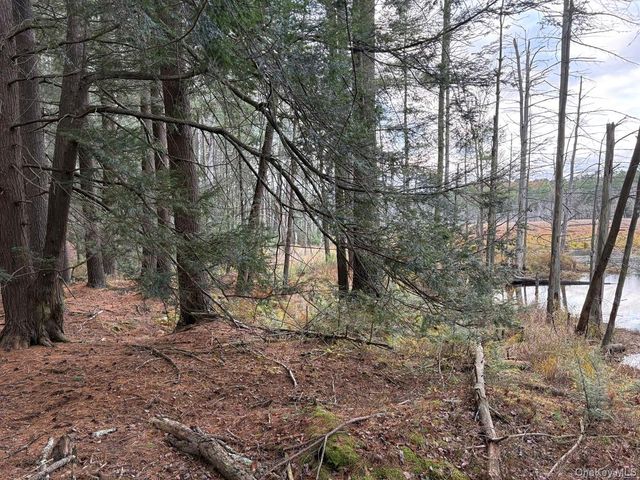 0 Puckyhuddle Road, Bethel, NY 12720