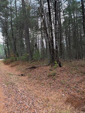 0 Puckyhuddle Road, Bethel, NY 12720