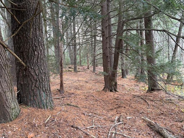 0 Puckyhuddle Road, Bethel, NY 12720