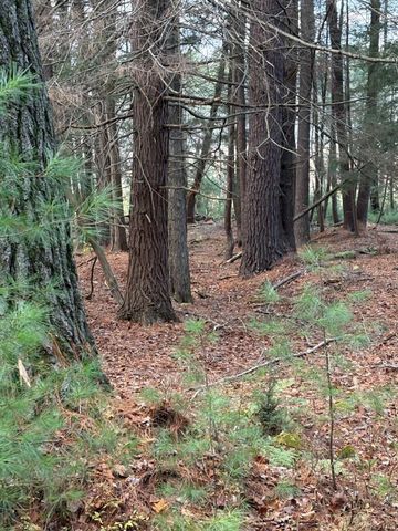 0 Puckyhuddle Road, Bethel, NY 12720