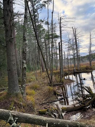 0 Puckyhuddle Road, Bethel, NY 12720