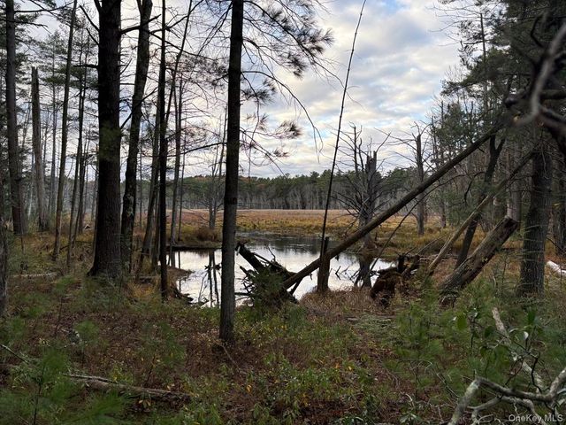 0 Puckyhuddle Road, Bethel, NY 12720