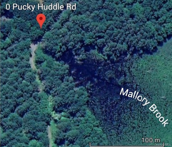 0 Puckyhuddle Road, Bethel, NY 12720