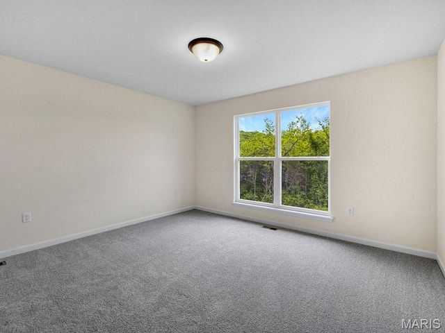 1079 Black Bear Drive, House Springs, MO 63051