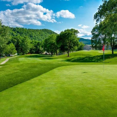 123 Bunker Ridge Drive 4, Branson, MO 65616