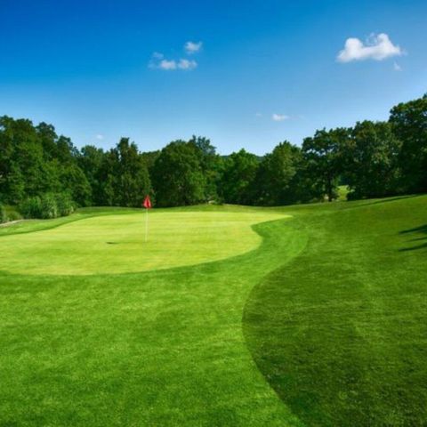 123 Bunker Ridge Drive 4, Branson, MO 65616