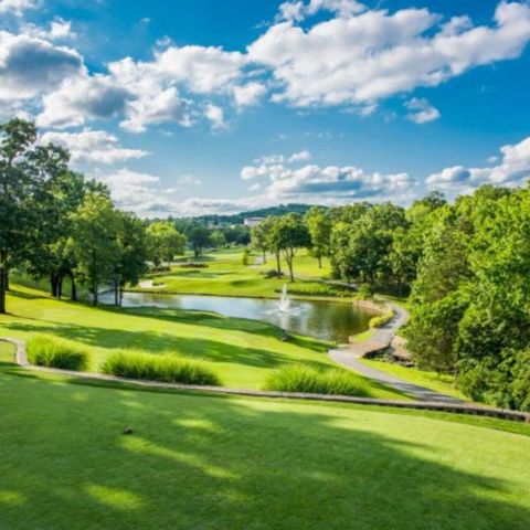 123 Bunker Ridge Drive 4, Branson, MO 65616