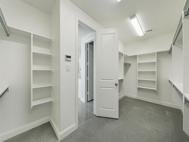 8473 Gerbera Daisy Road, Frisco, TX 75035