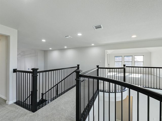 8473 Gerbera Daisy Road, Frisco, TX 75035