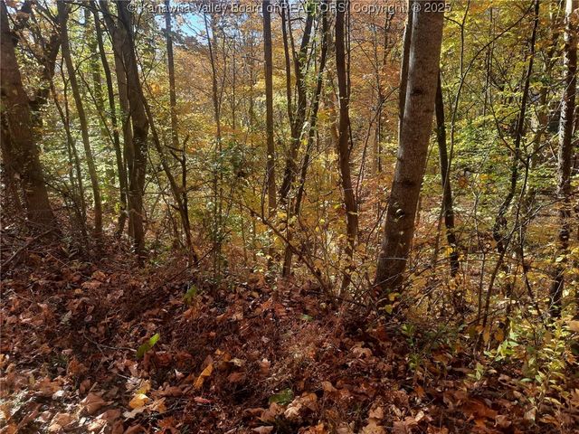 0 Bennington Drive, Cross Lanes, WV 25313