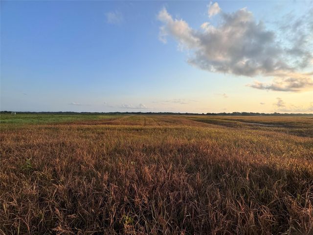 TBD Cr 343 Harter Road, Blessing, TX 77419