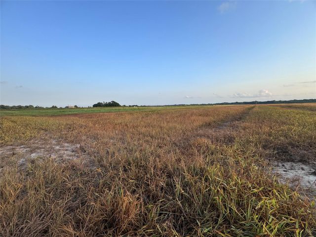 TBD Cr 343 Harter Road, Blessing, TX 77419
