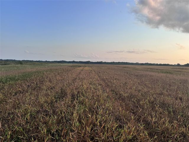 TBD Cr 343 Harter Road, Blessing, TX 77419