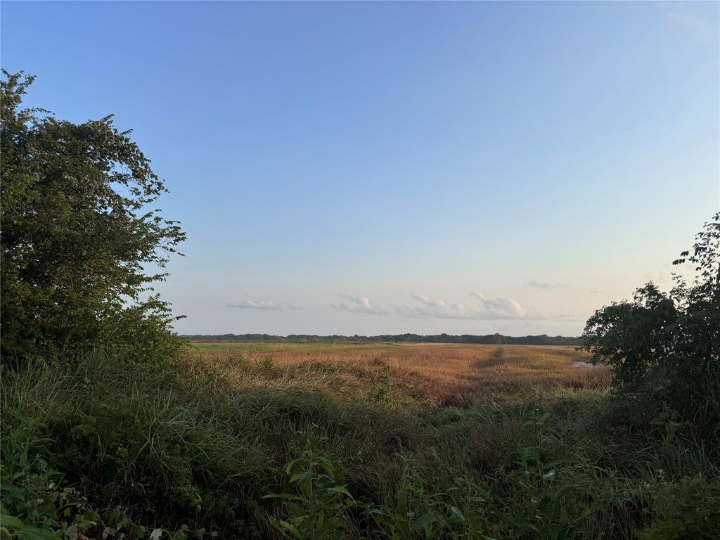 TBD Cr 343 Harter Road, Blessing, TX 77419