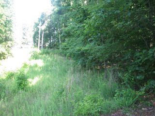 0 Big Richland Drive, Waverly, TN 37185