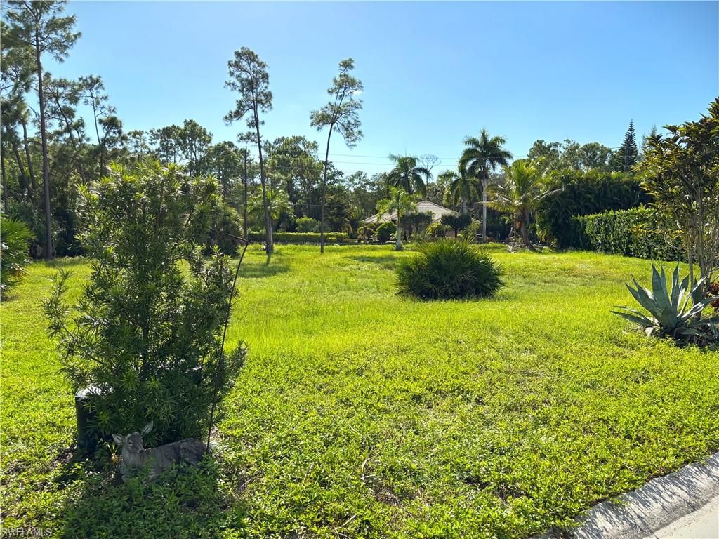 10024 Hidden Pines LN, BONITA SPRINGS, FL 34135 — photo 2
