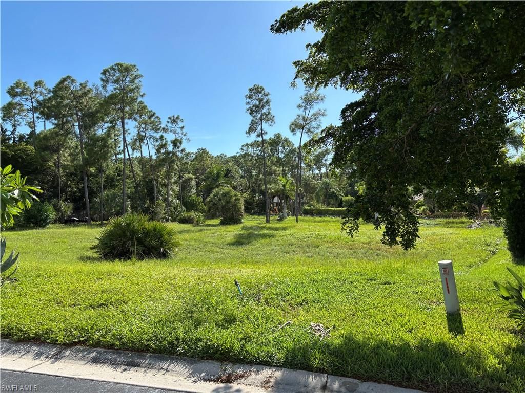 10024 Hidden Pines LN, BONITA SPRINGS, FL 34135 — photo 4