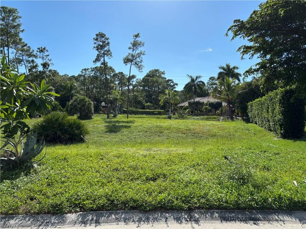 10024 Hidden Pines LN, BONITA SPRINGS, FL 34135 — photo 5