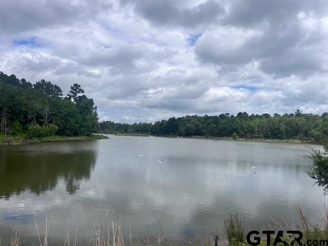 TBD High Pines Drive, Tyler, TX 75708