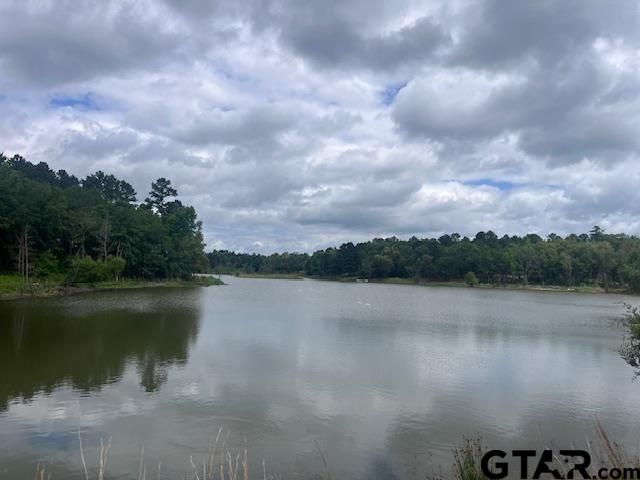 TBD High Pines Drive, Tyler, TX 75708